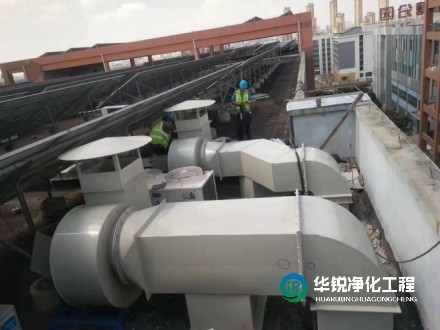 1733796373735260.jpg 22.jpg